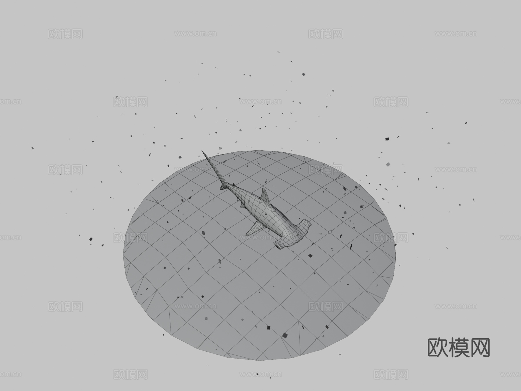 大锤头鲨3d模型