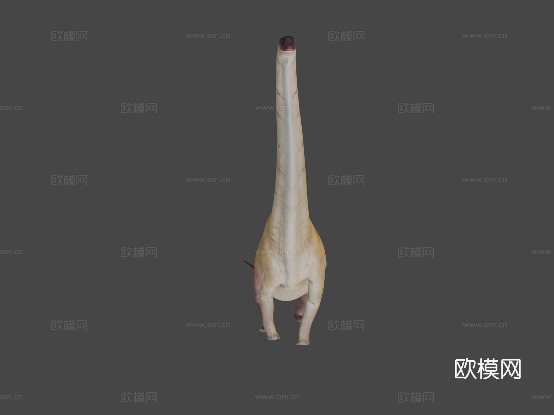 腕龙行走循环3d模型