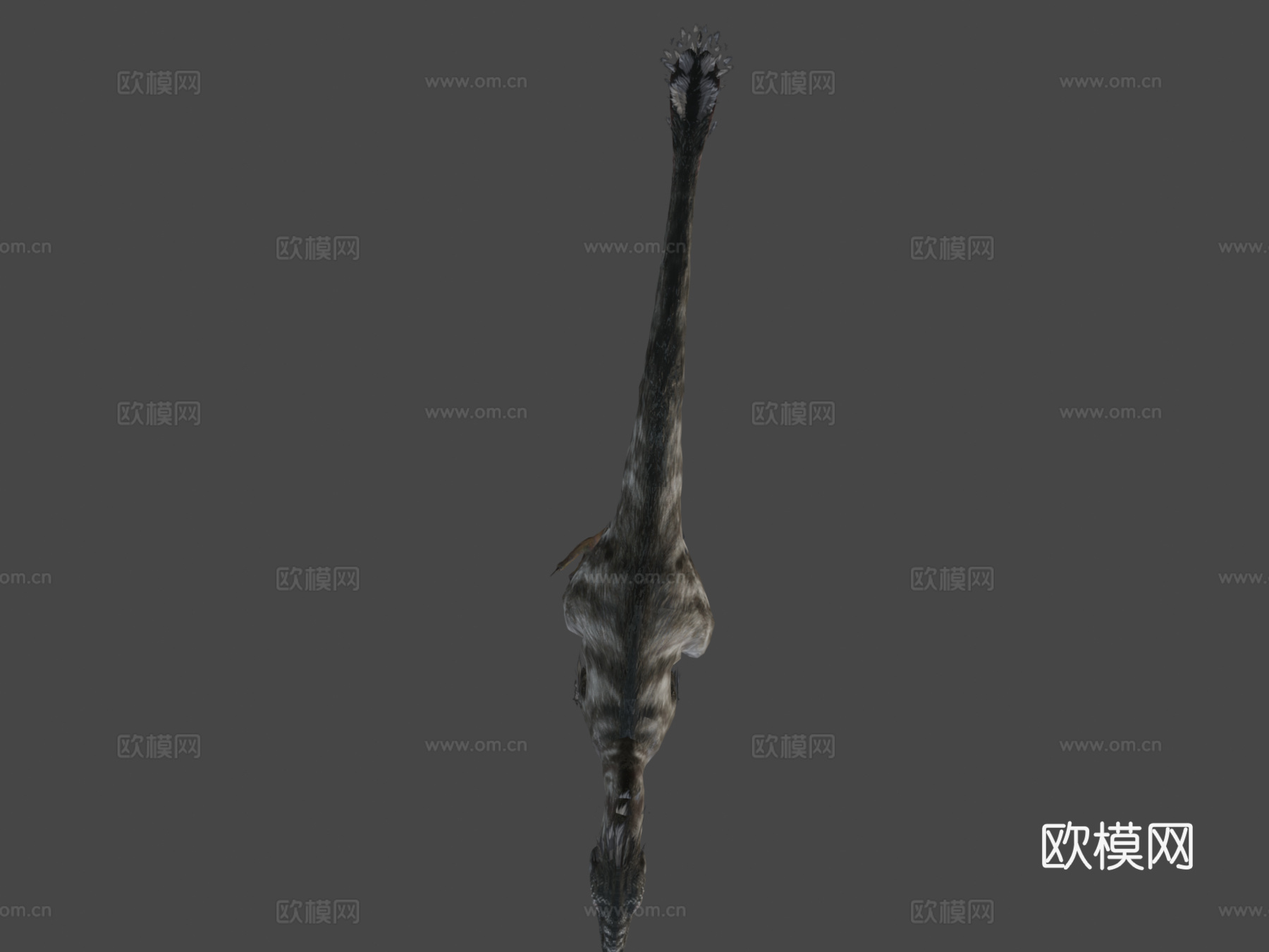 迅猛龙121动画-恐龙动画集3d模型