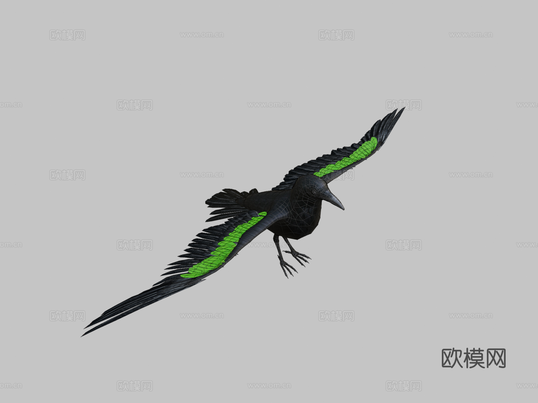乌鸦_绑定动画3d模型
