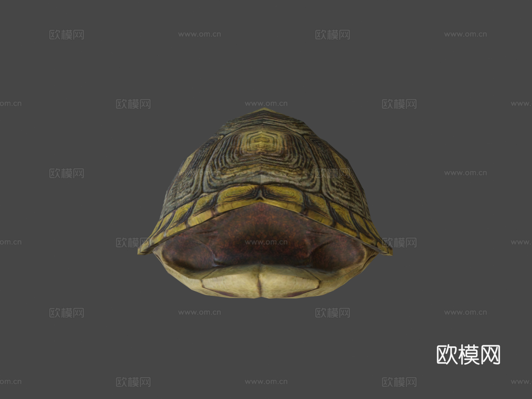 乌龟动画行走循环3d模型