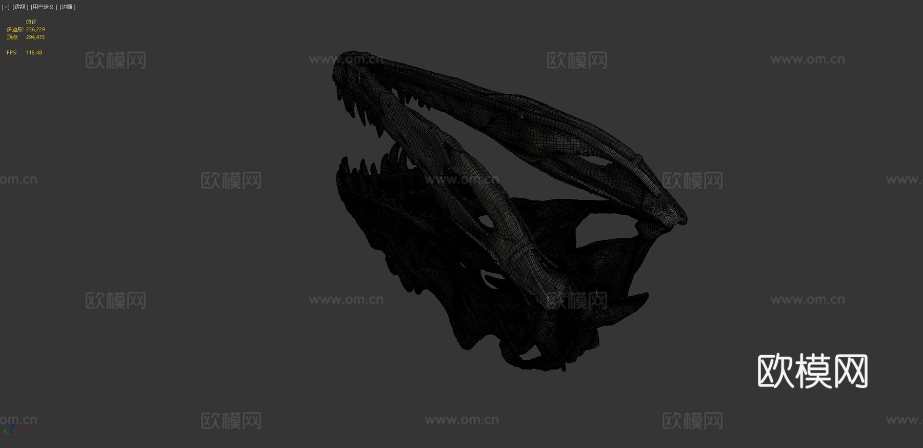 化石逻辑角鼻龙头骨3d模型