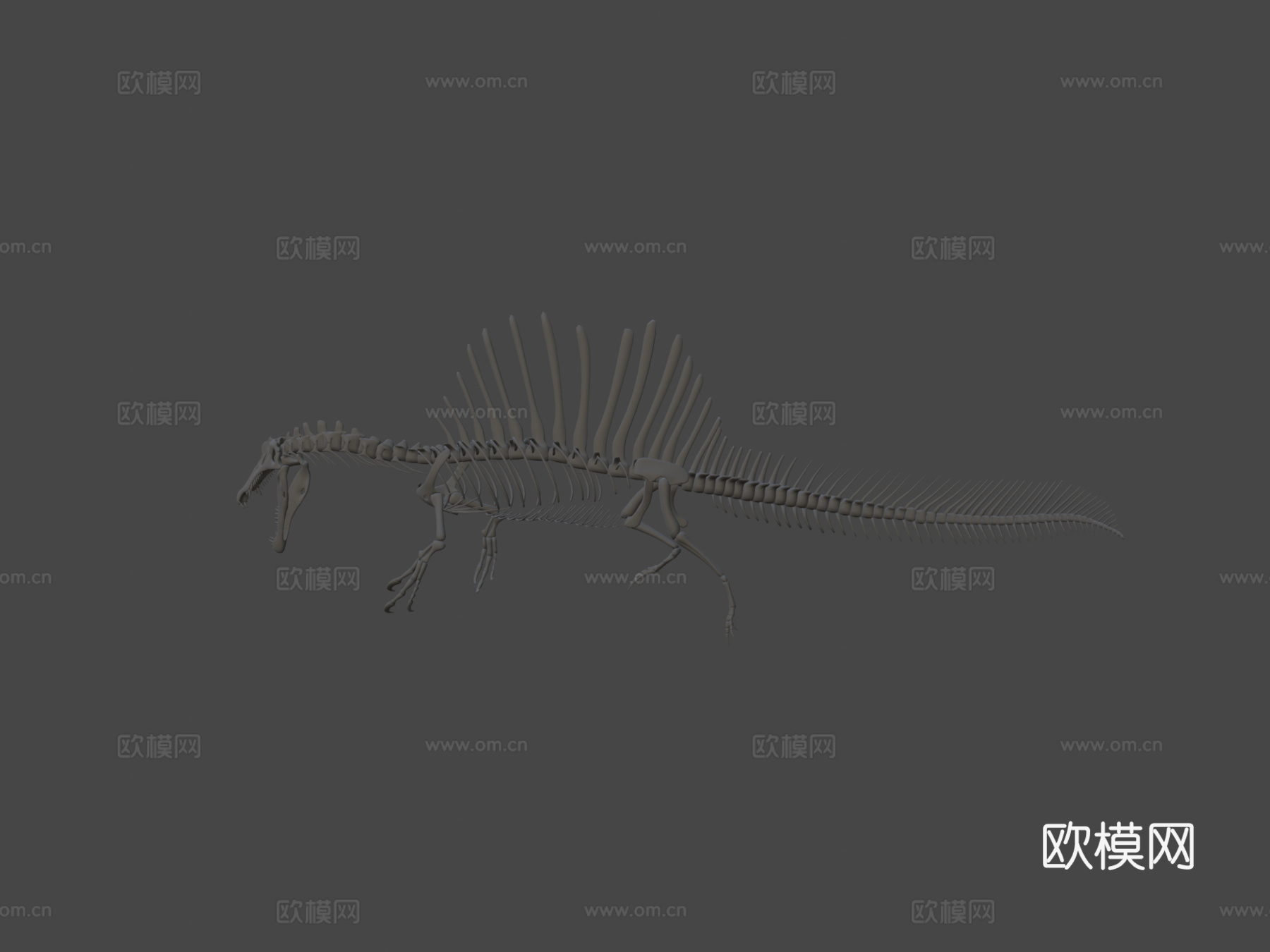 棘龙骨架3d模型
