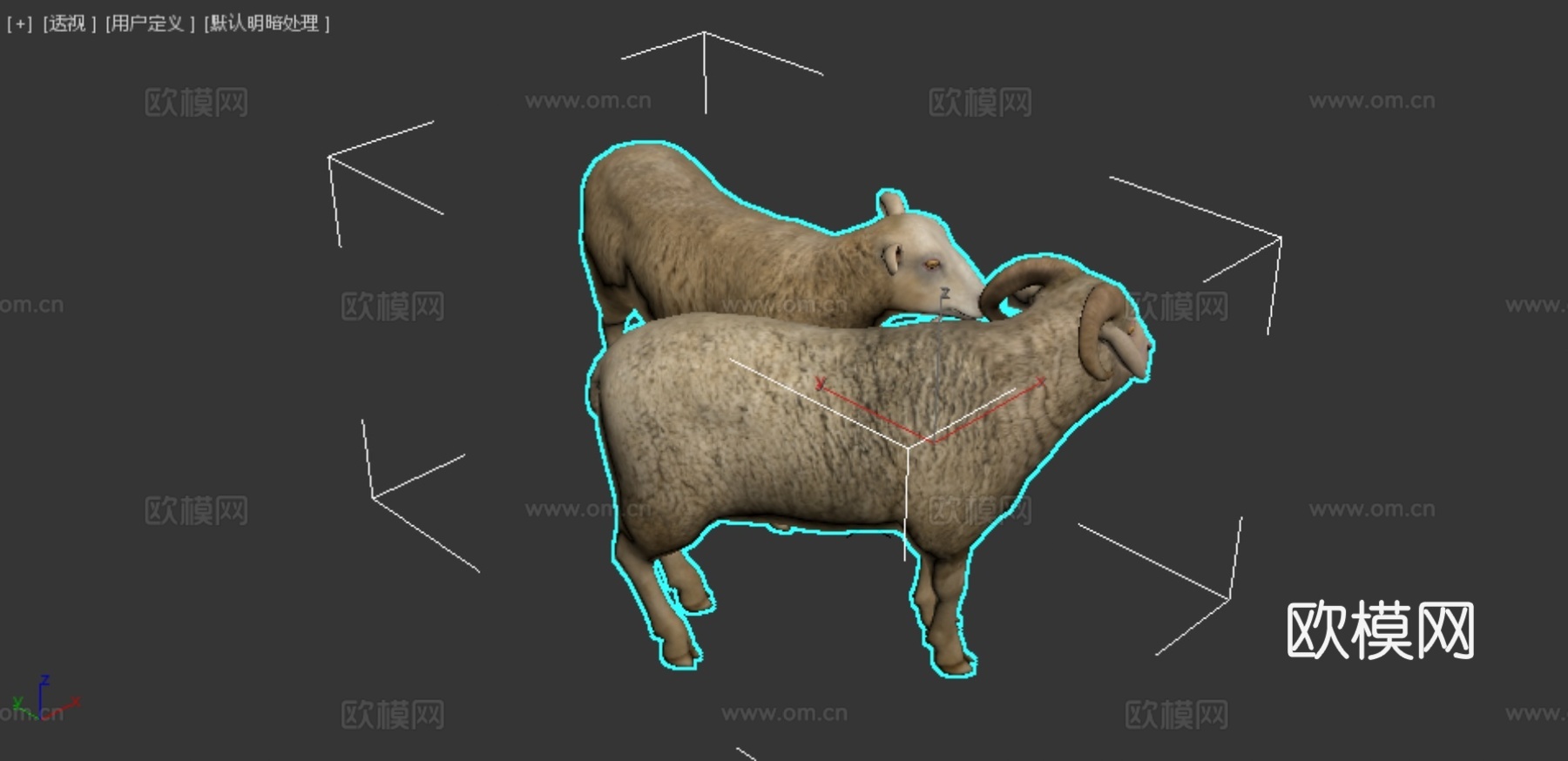 绵羊家族动画3d模型