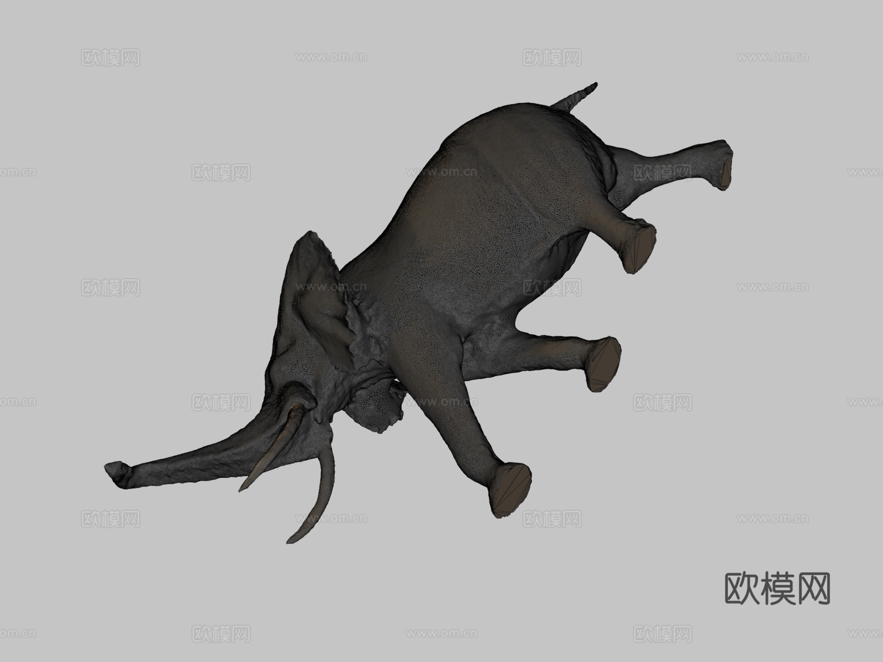 圆形大厅里的大象3d模型