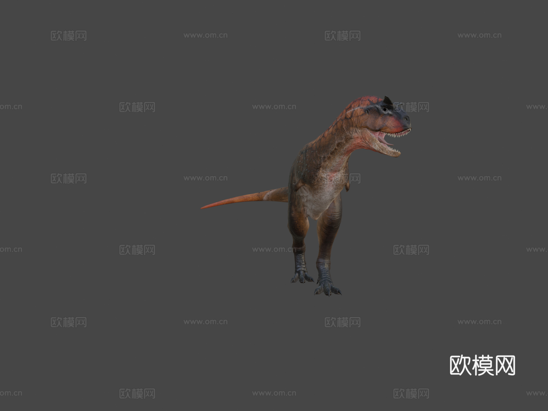 食肉牛龙3d模型