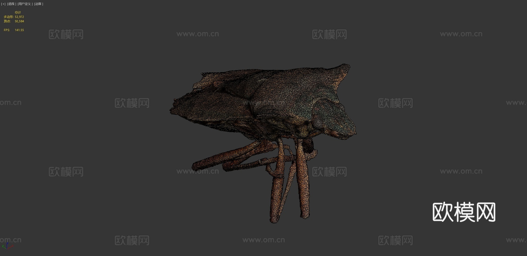 异翅目-宏观摄影测量3d模型
