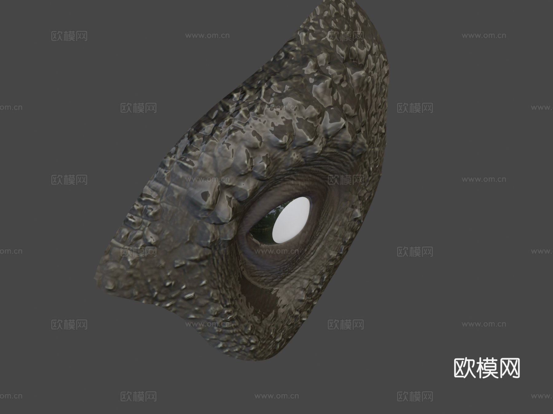 眼睛虹膜动画测试3d模型