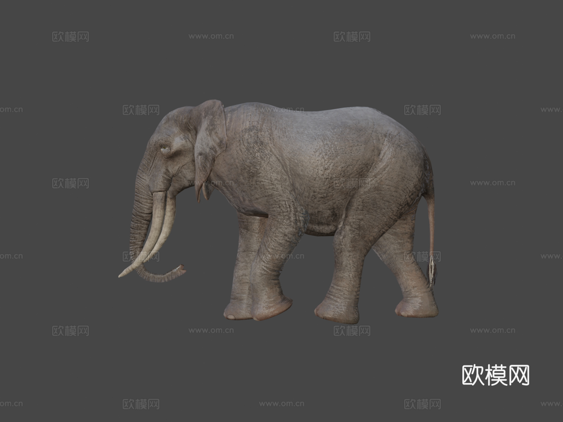 象宝宝到成年3d模型
