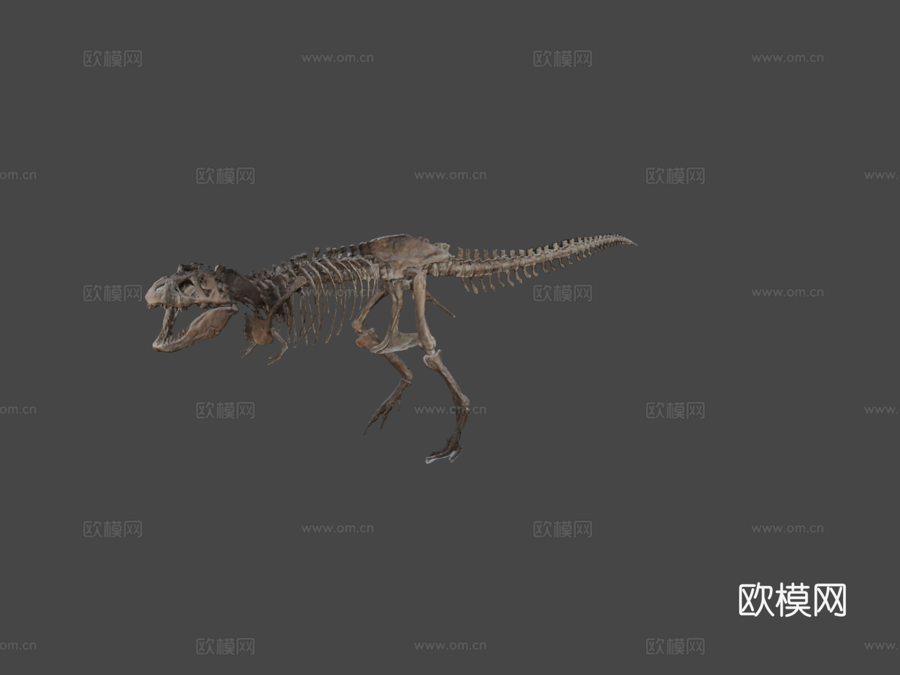 霸王龙3d模型