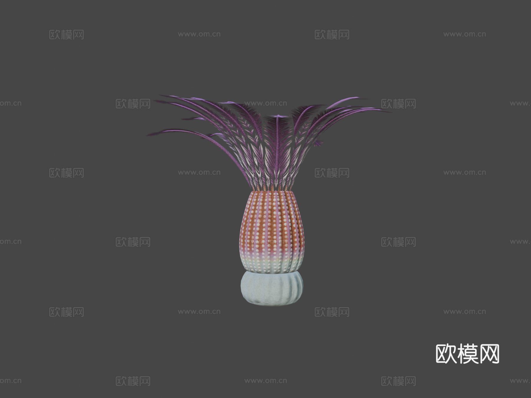 中华仙光鱼3d模型