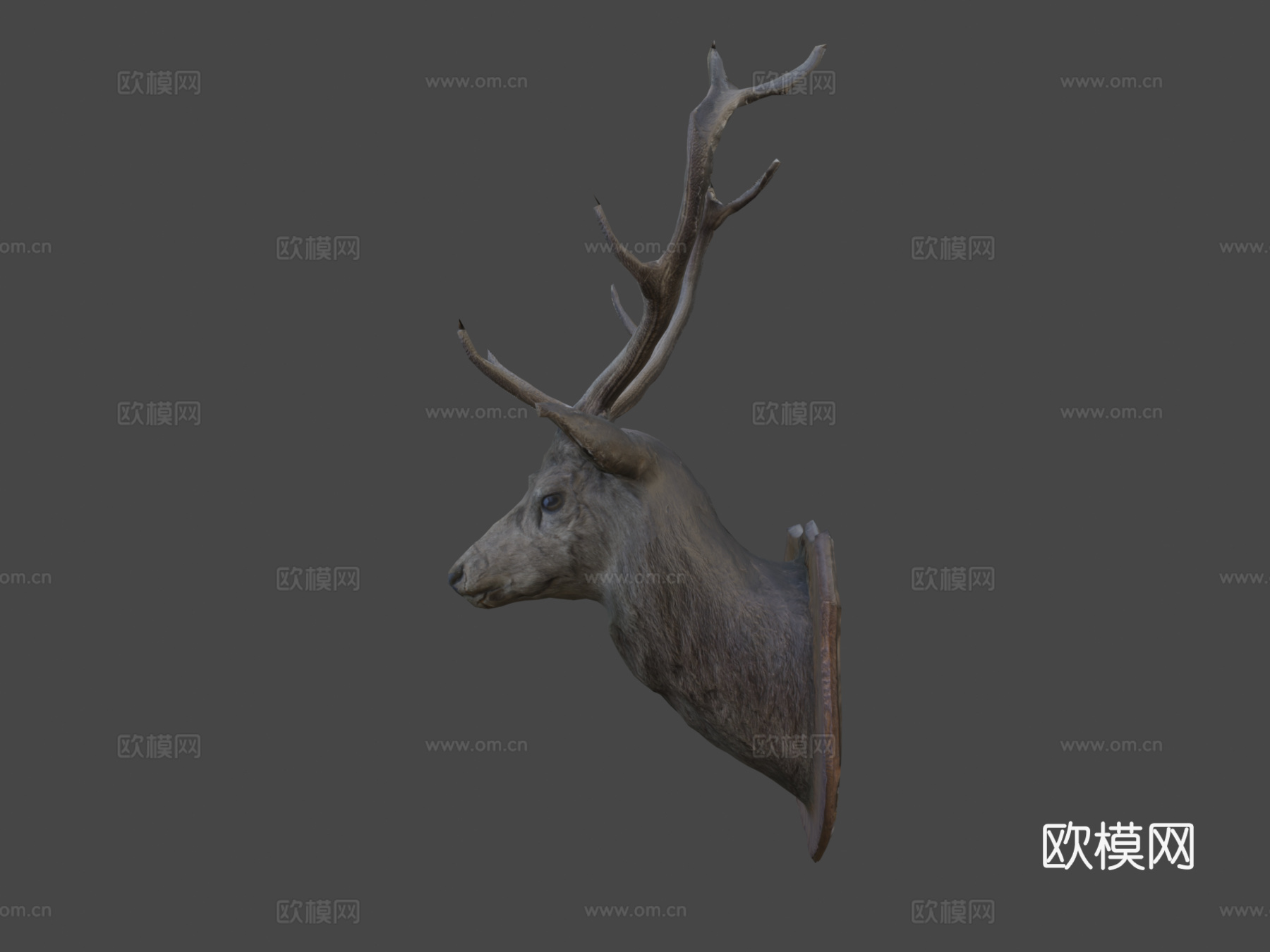 鹿3d模型
