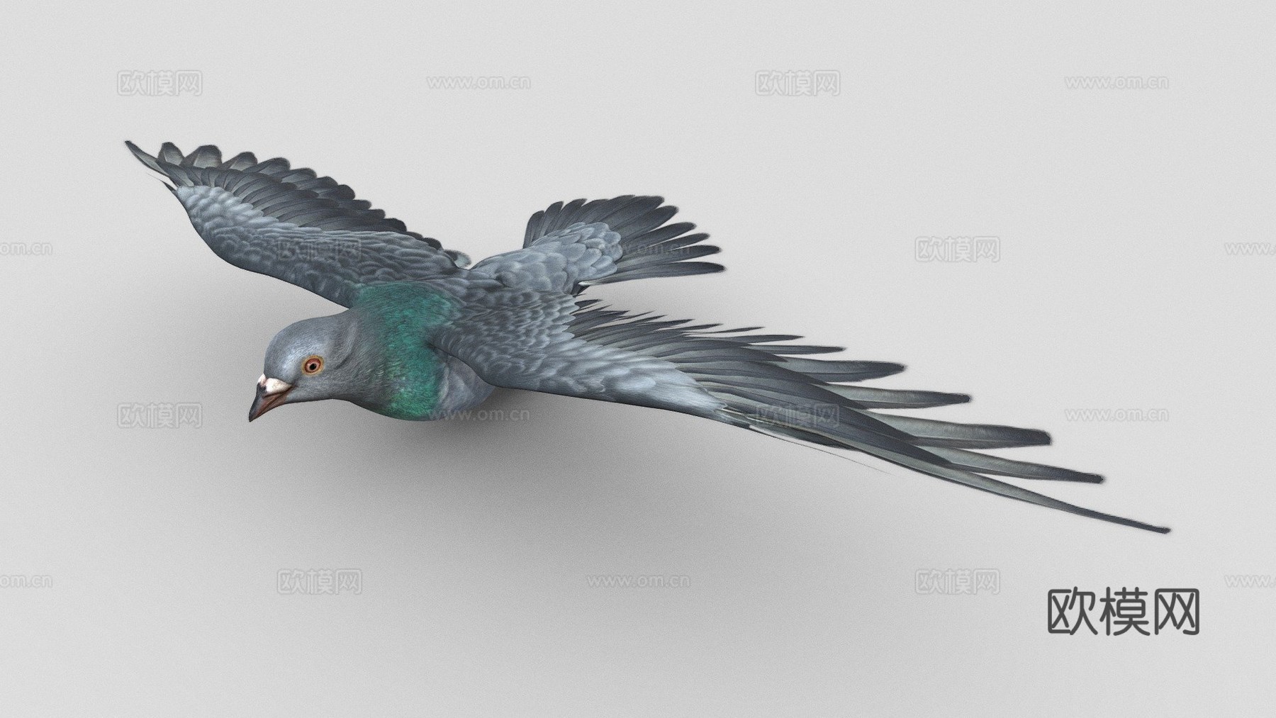 鸽子飞翔3d模型