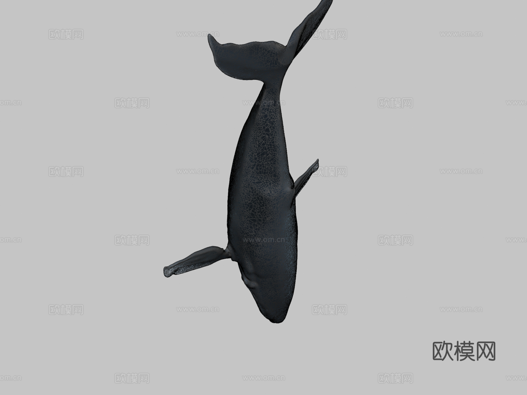 雕刻鲸鱼3d模型