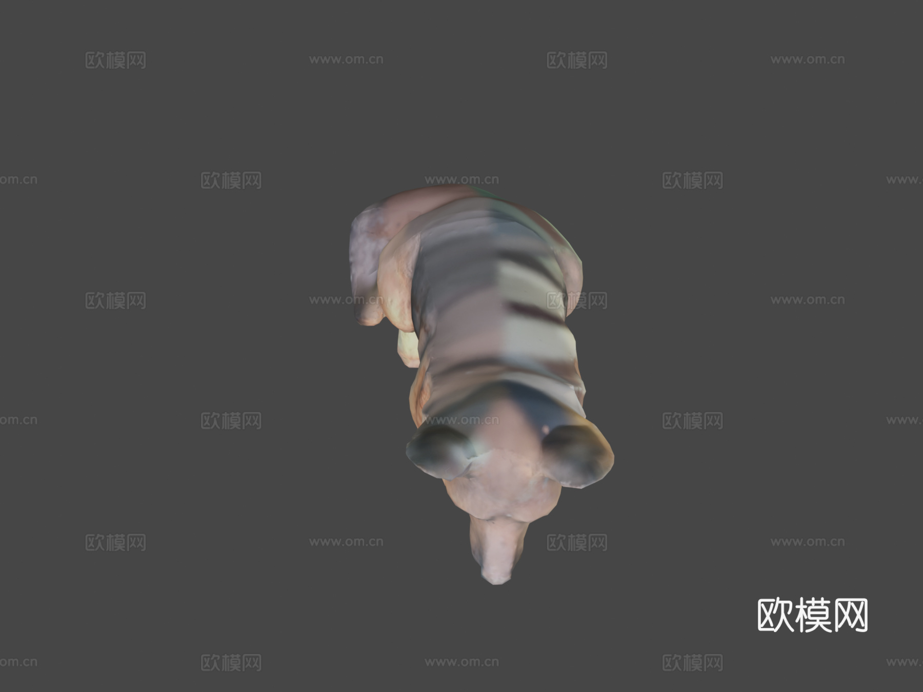 德国牧羊犬3d模型