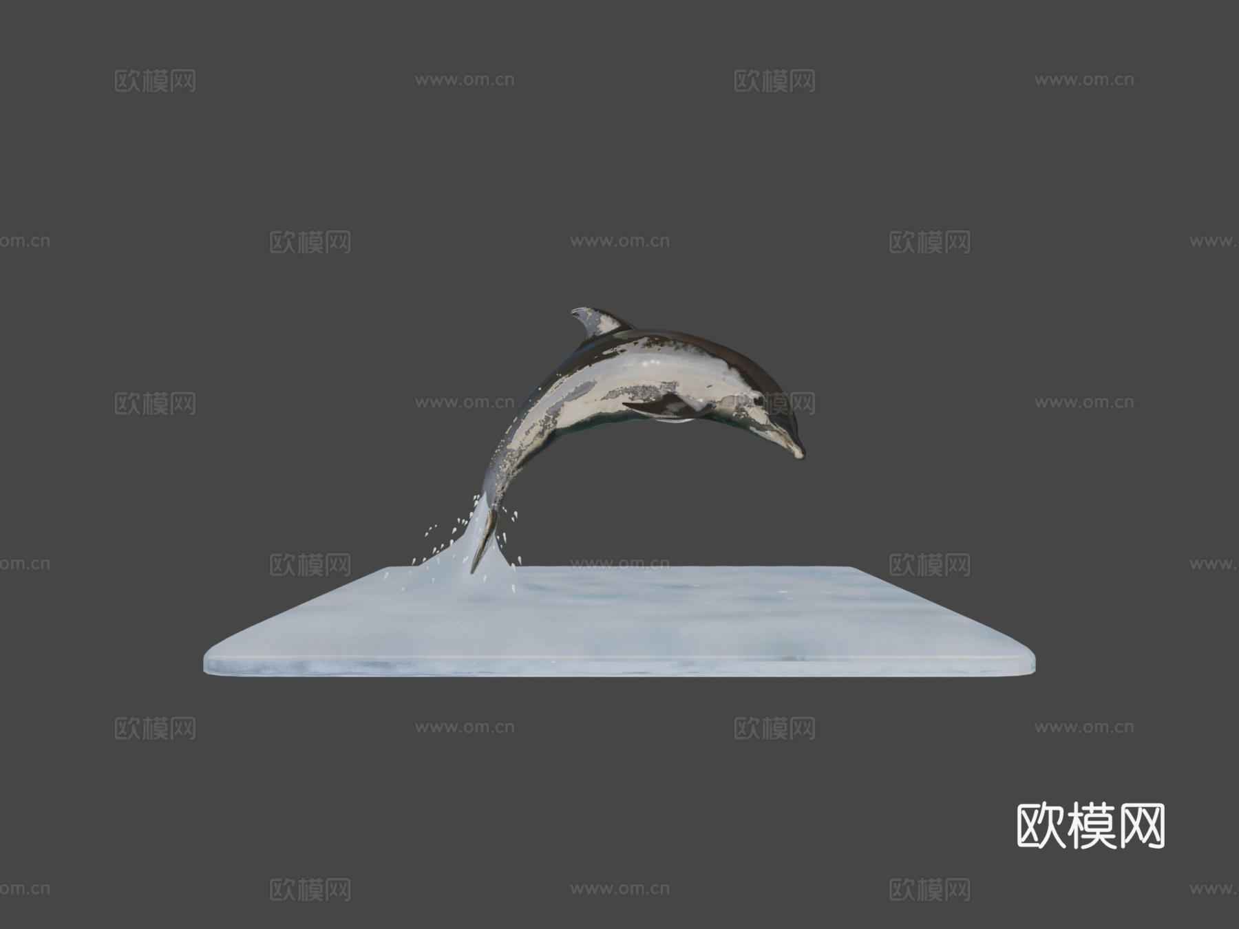 海豚3d模型