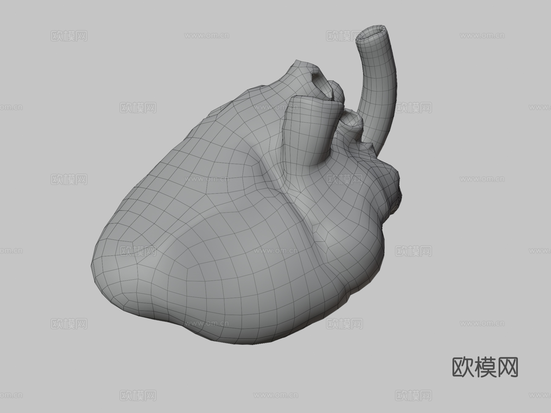 牛心3d模型