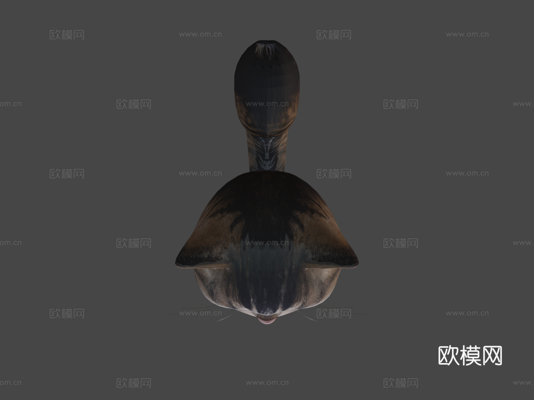 可爱怪兽猫3d模型