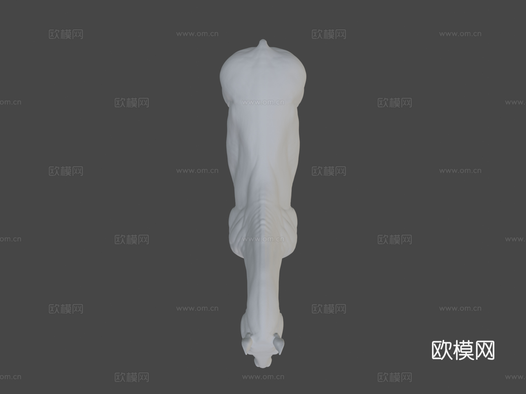 马解剖皮肤高多边形模型3d模型
