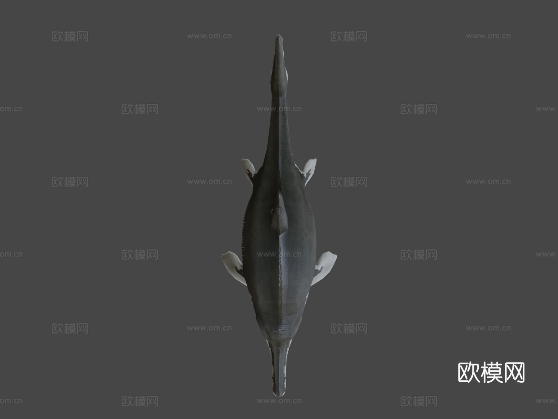 鱼龙3d模型