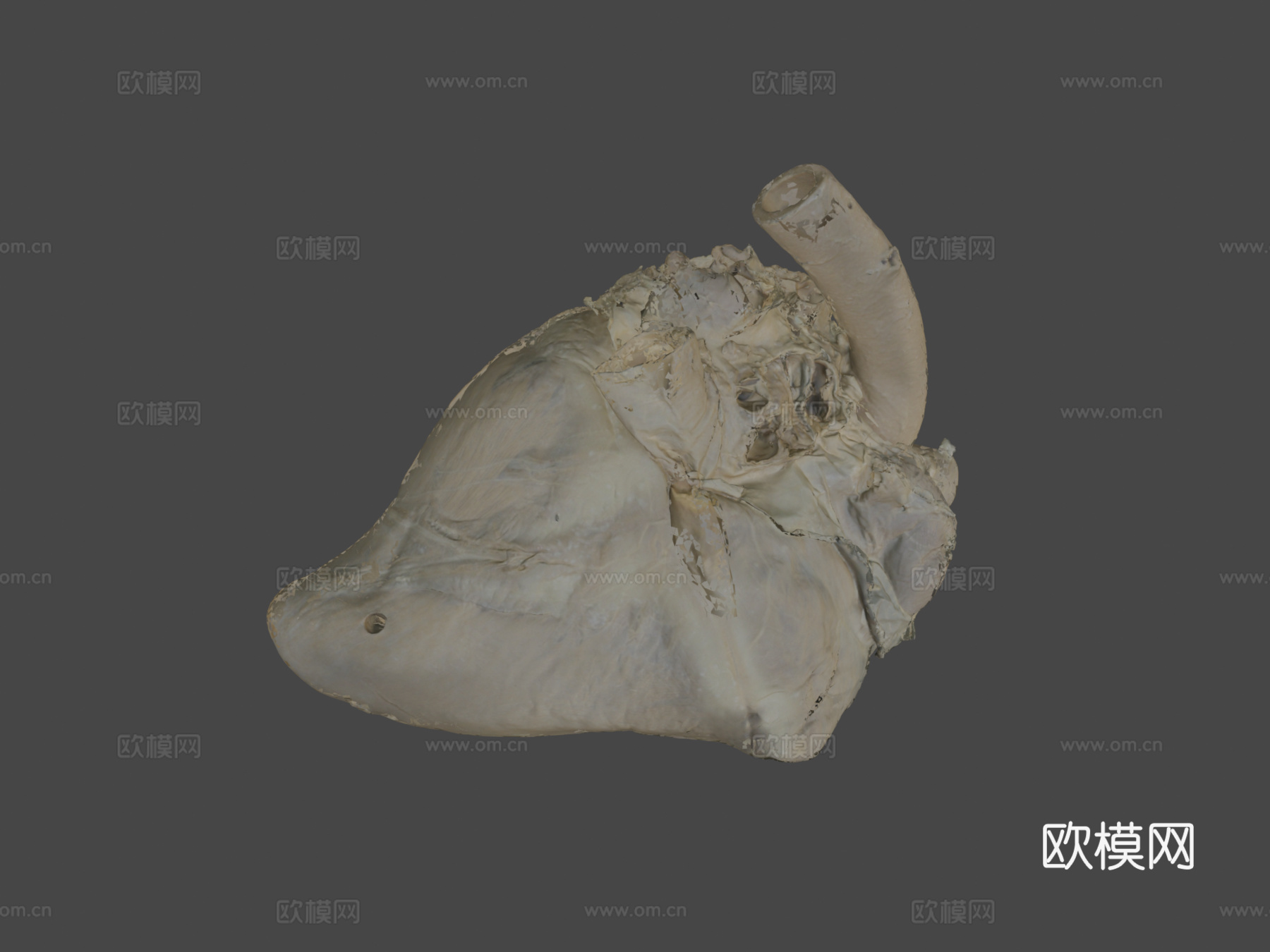 心(核心)马3d模型