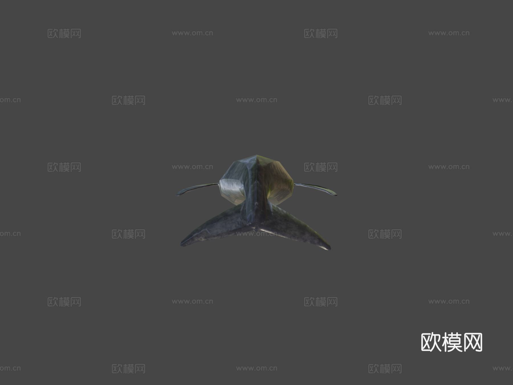 绑定蓝鲸3d模型