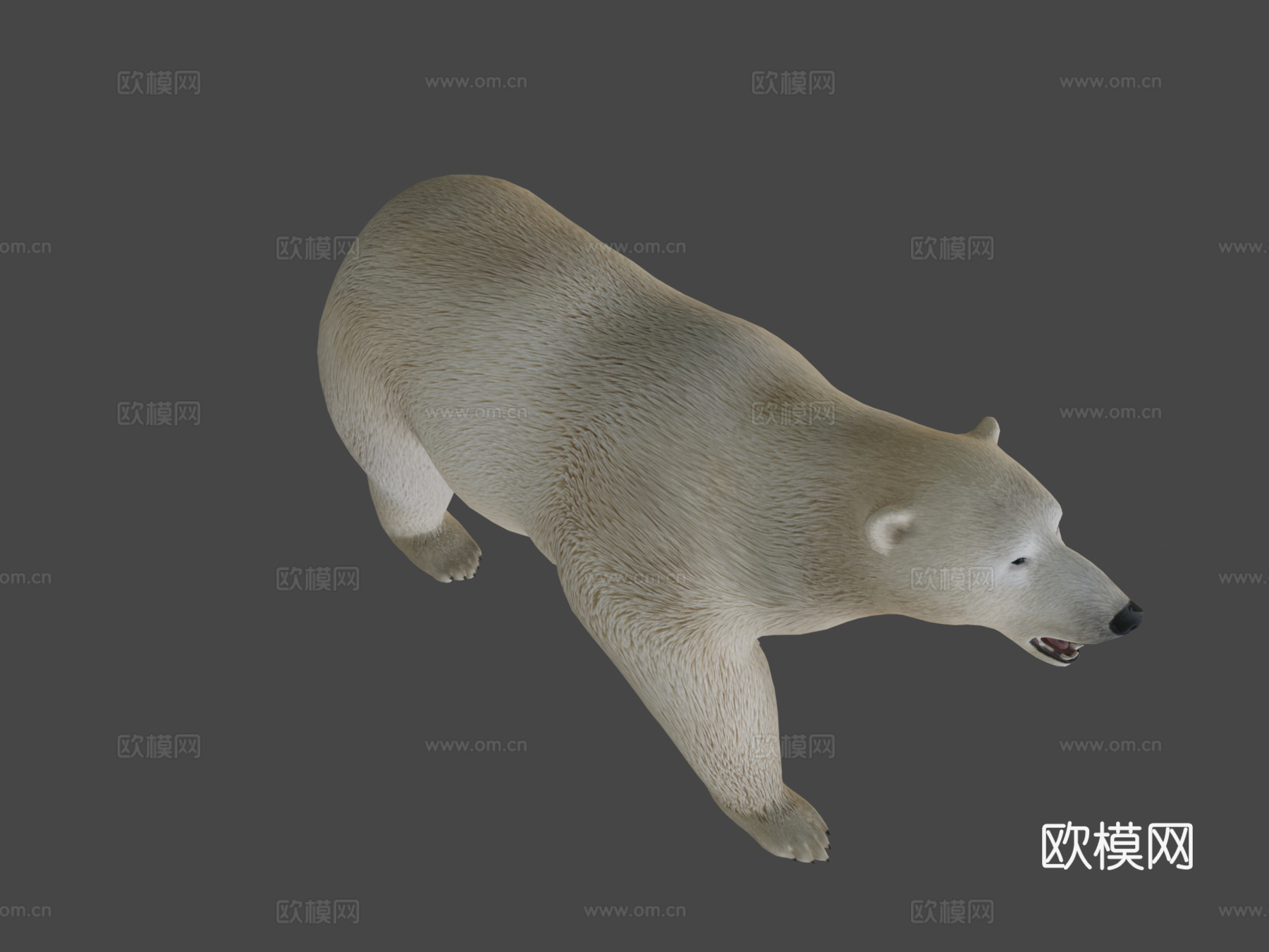 北极熊3d模型