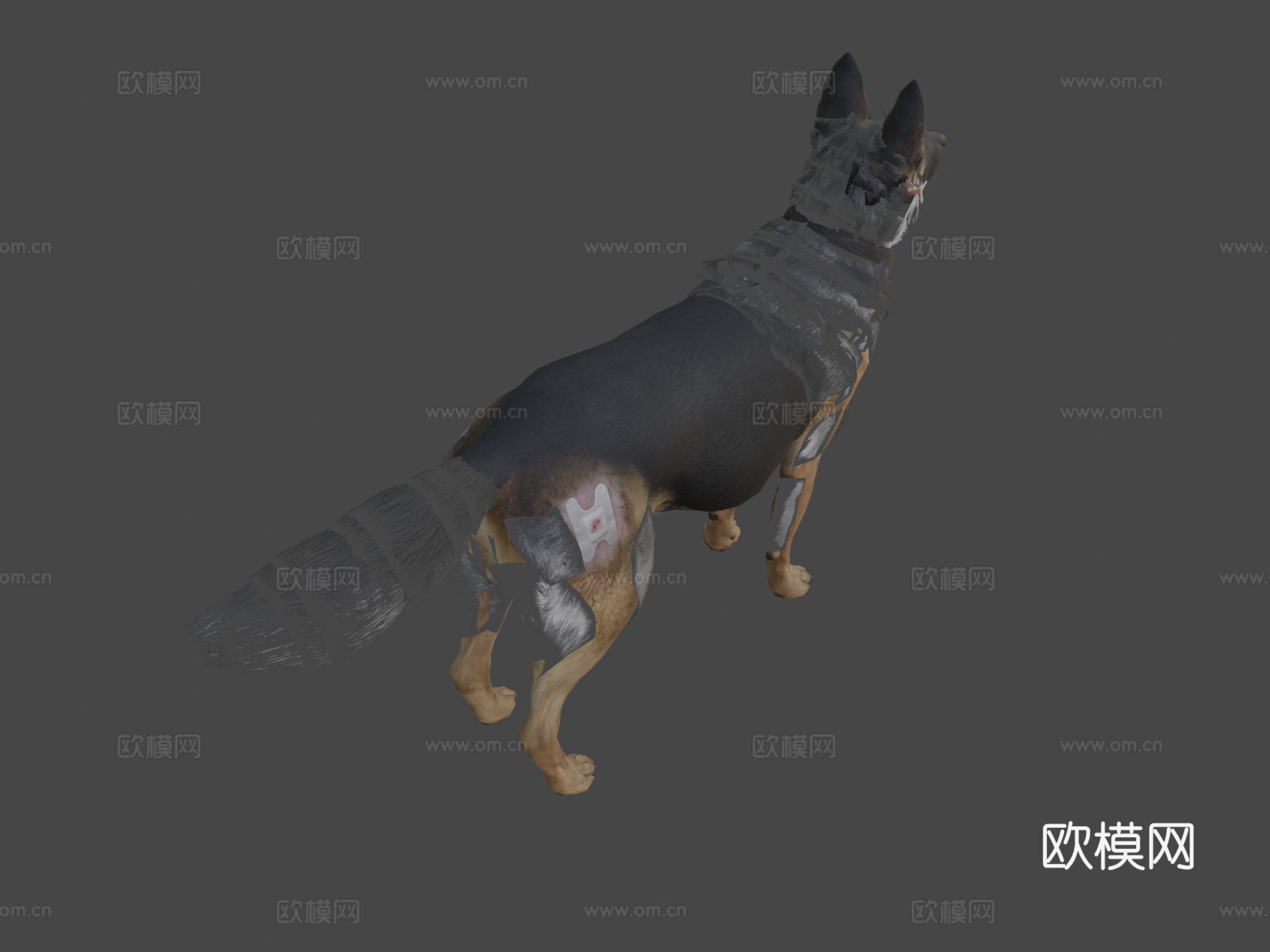 莱利3d模型