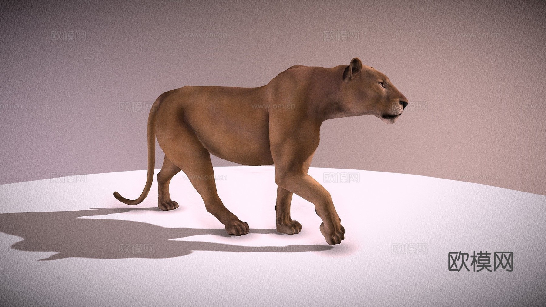 狮子行走3d模型