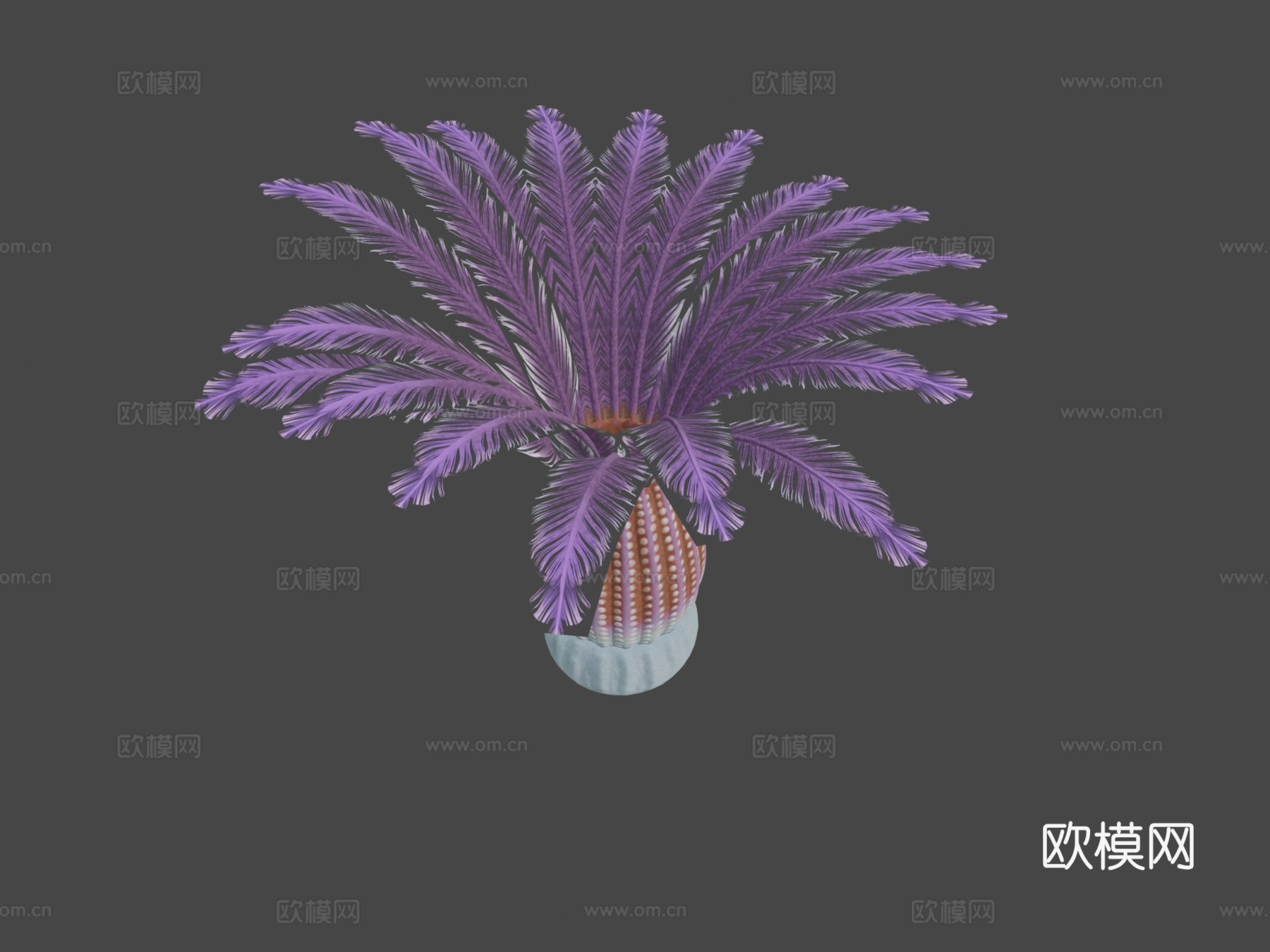 中华仙光鱼3d模型