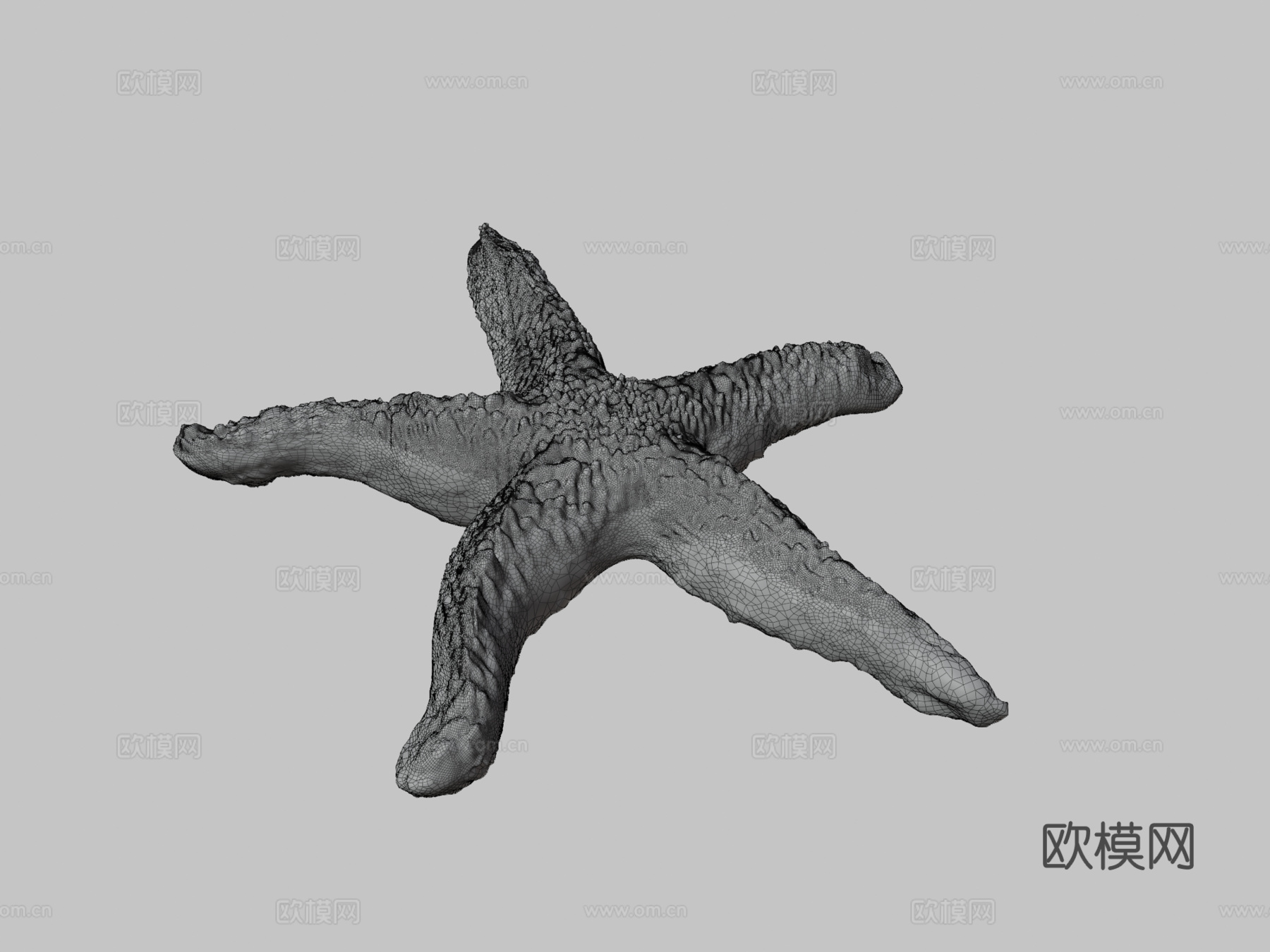 海星3d模型