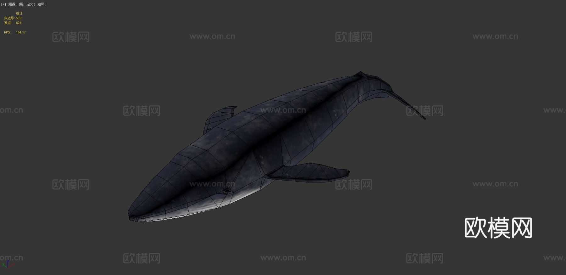 绑定蓝鲸3d模型