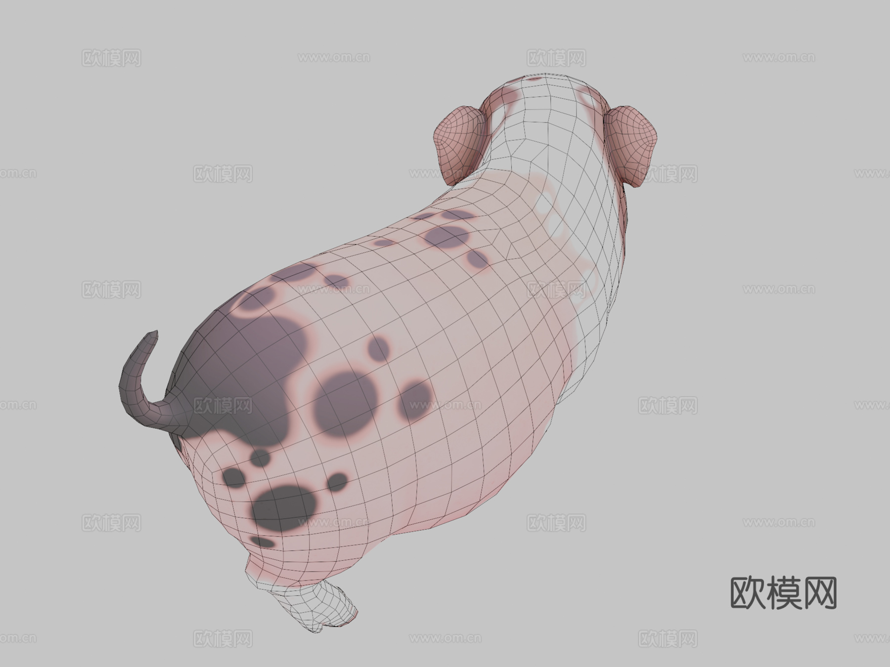 迷你小猪3d模型
