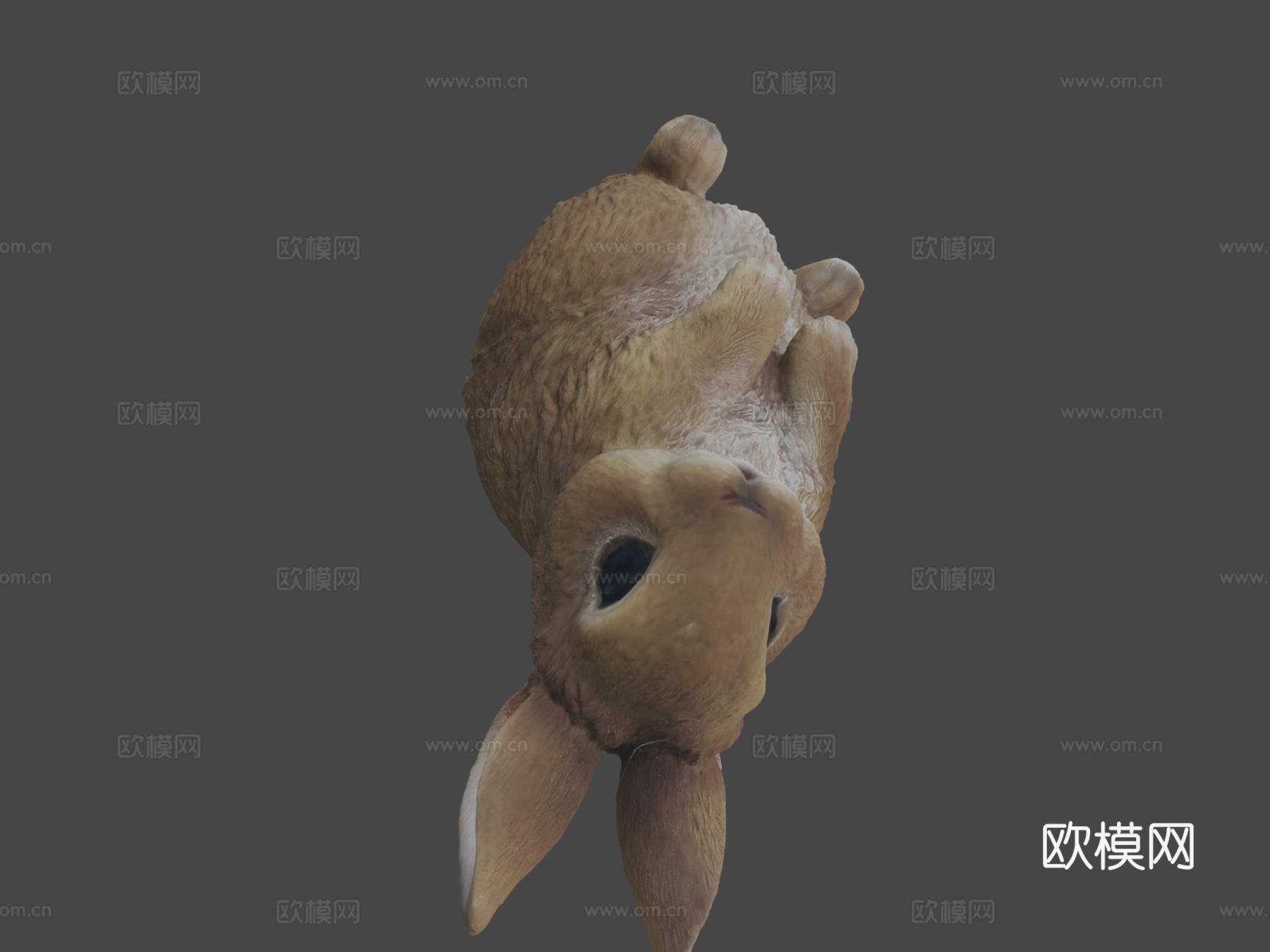 兔子!3d模型