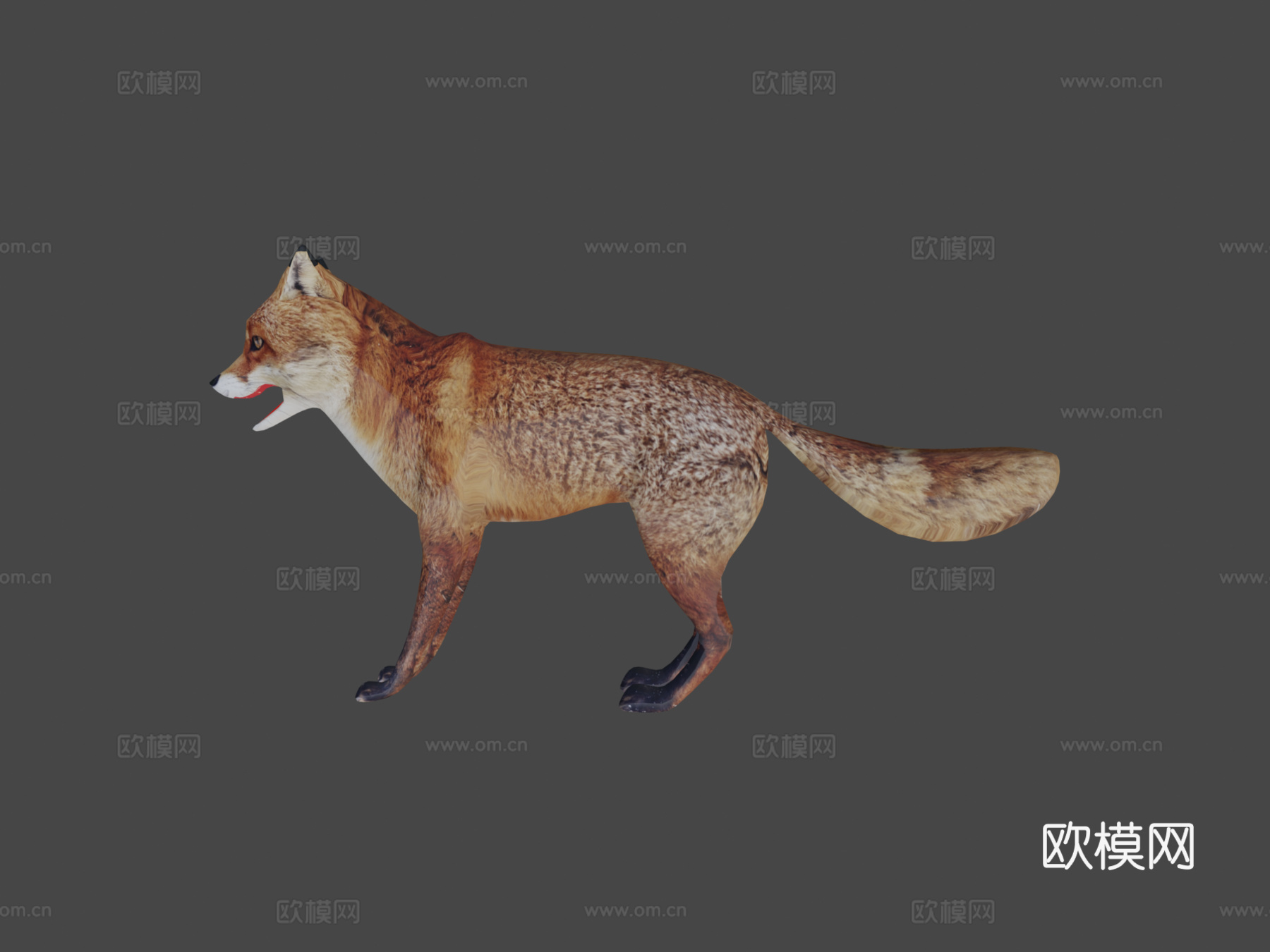 狐狸3d模型