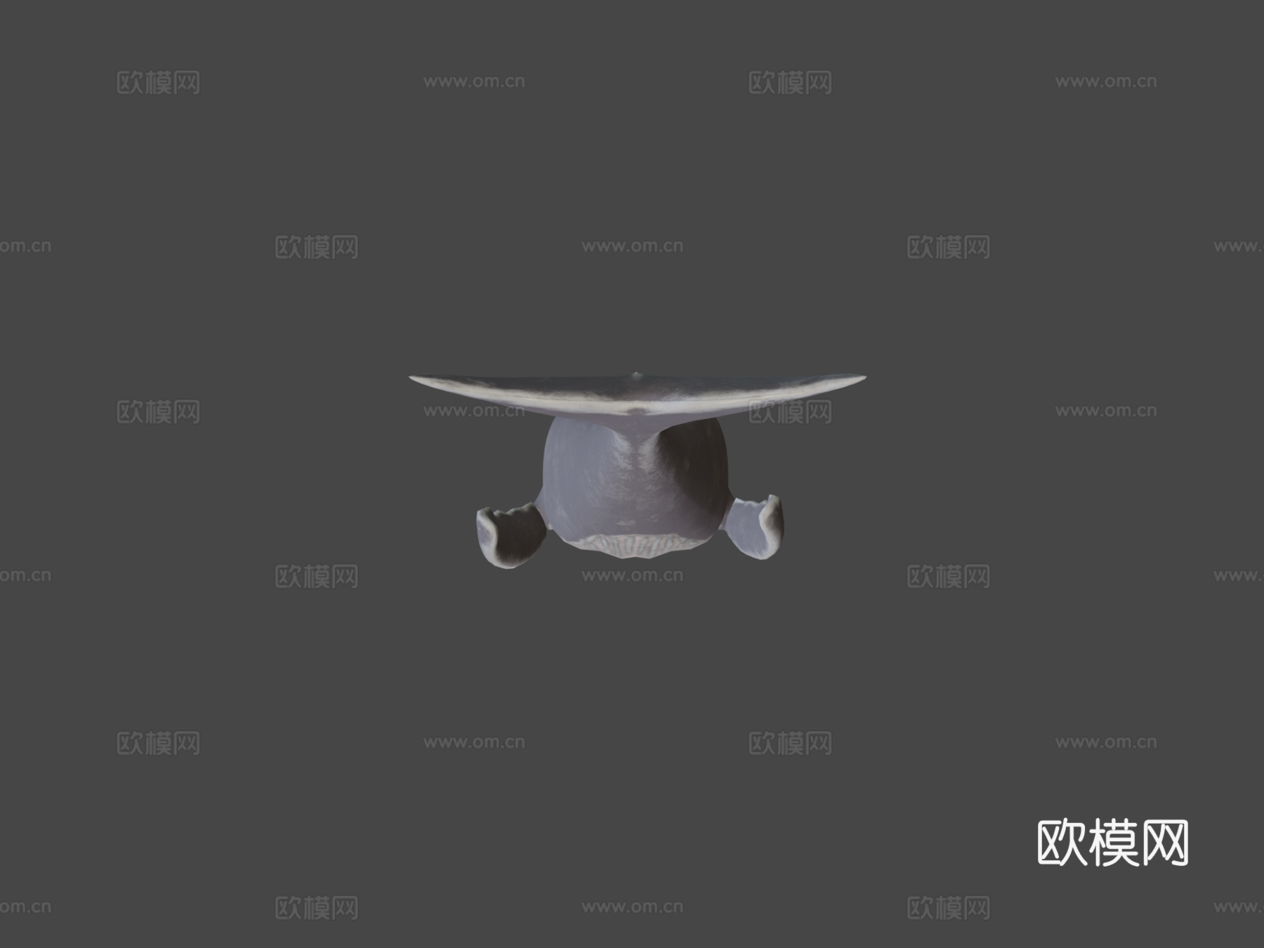 座头鲸3d模型