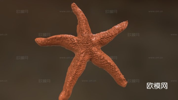 海星3d模型