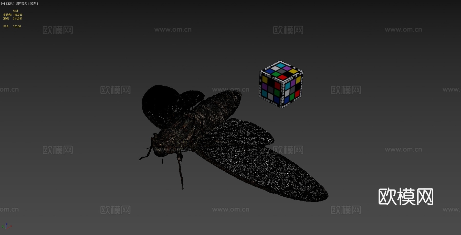CC0 寒蝉♂ 寒蝉步行者3d模型