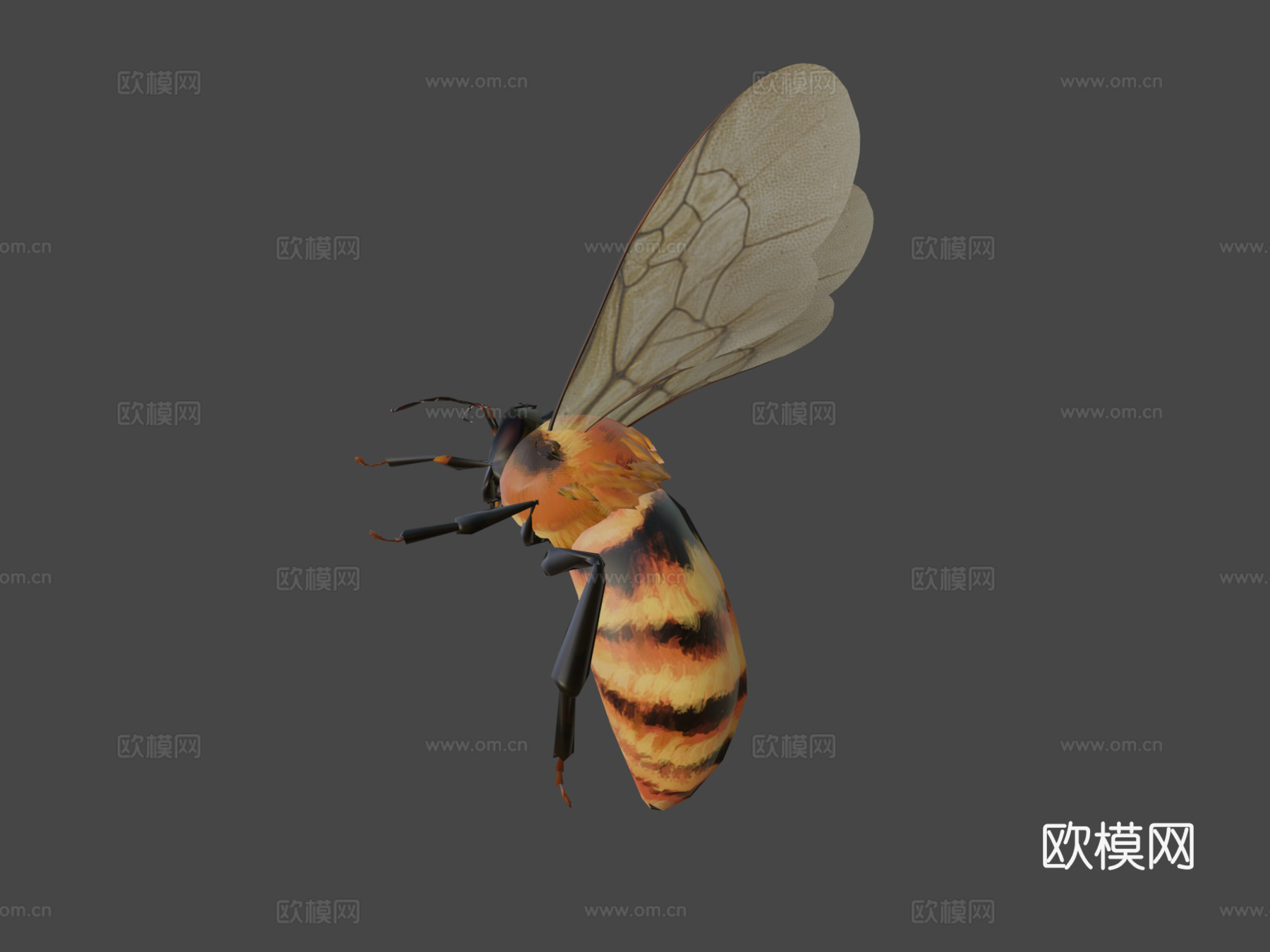 达尔博姆熊蜂3d模型