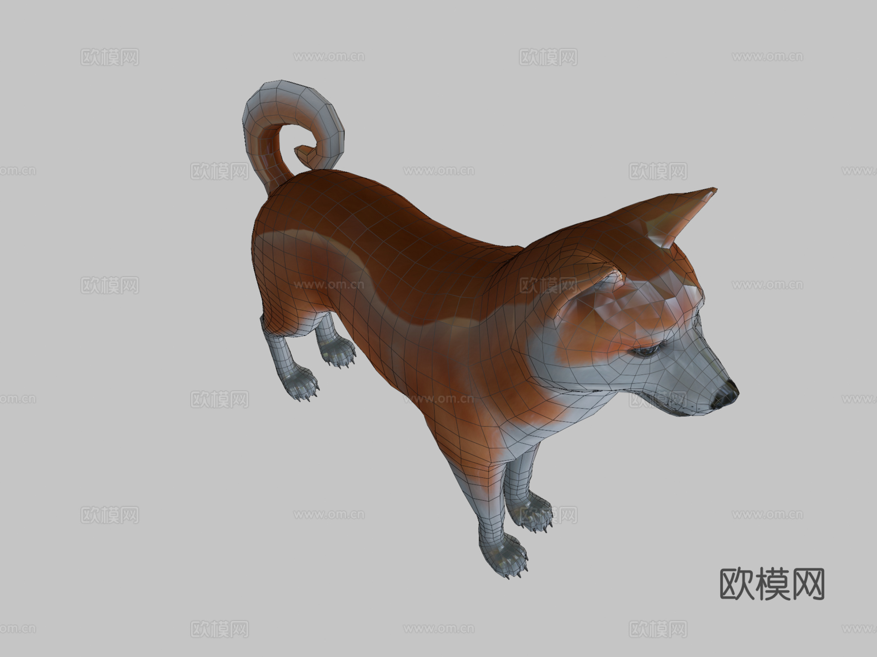 秋田犬3d模型