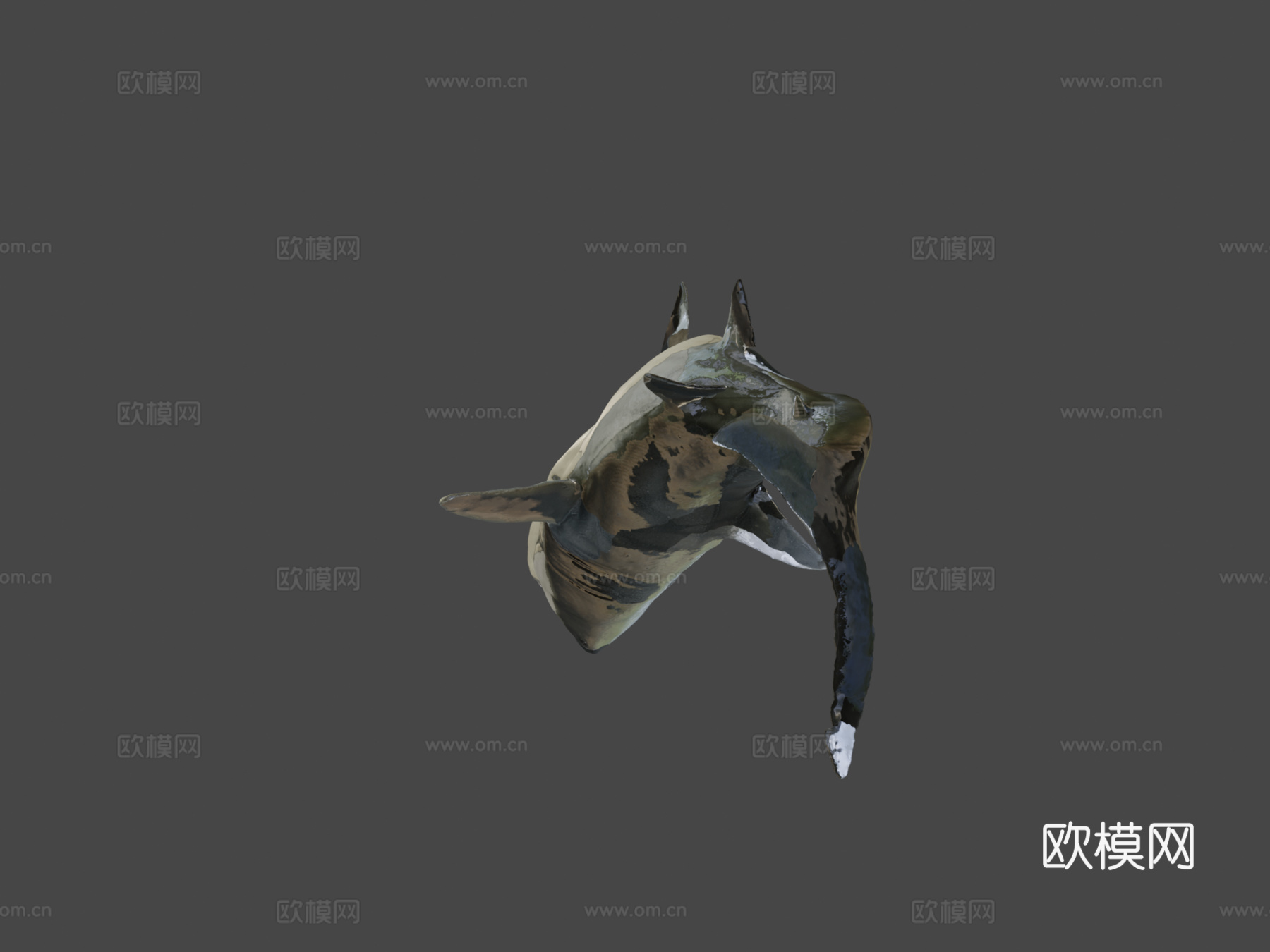 巨齿鲨3d模型