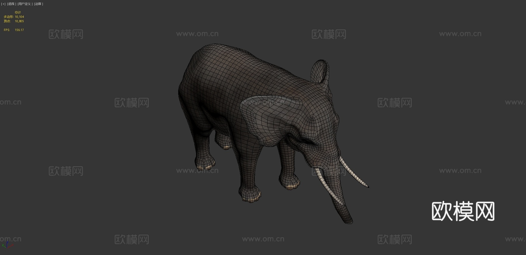 非洲象3d模型