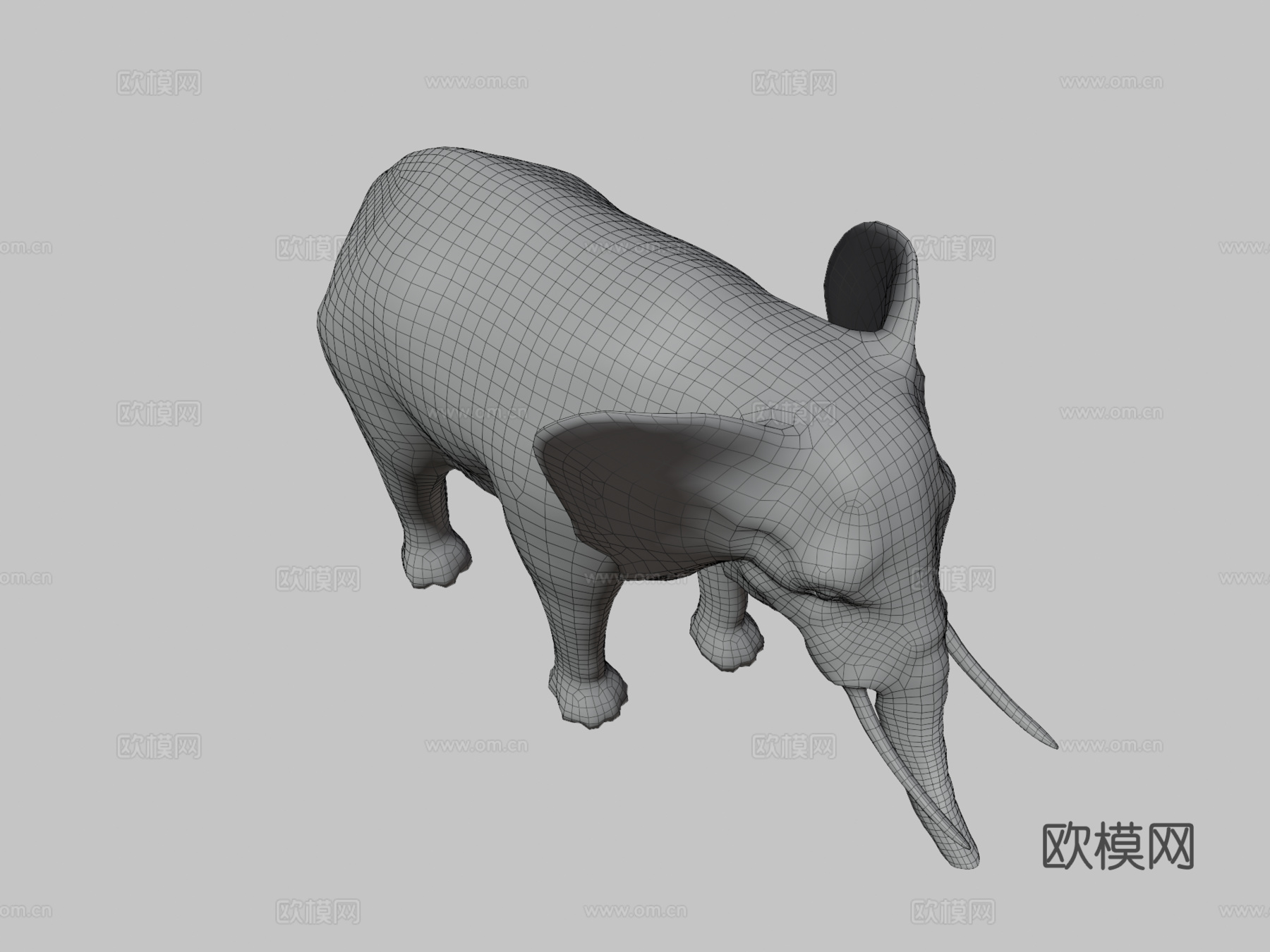 非洲象3d模型
