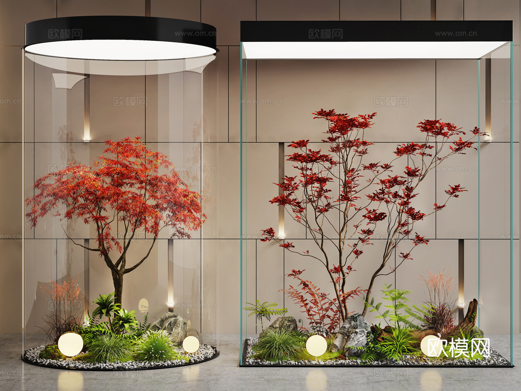 现代室内景观 景观造景 景观树 红枫景观树 植物堆 玻璃柜景3d模型