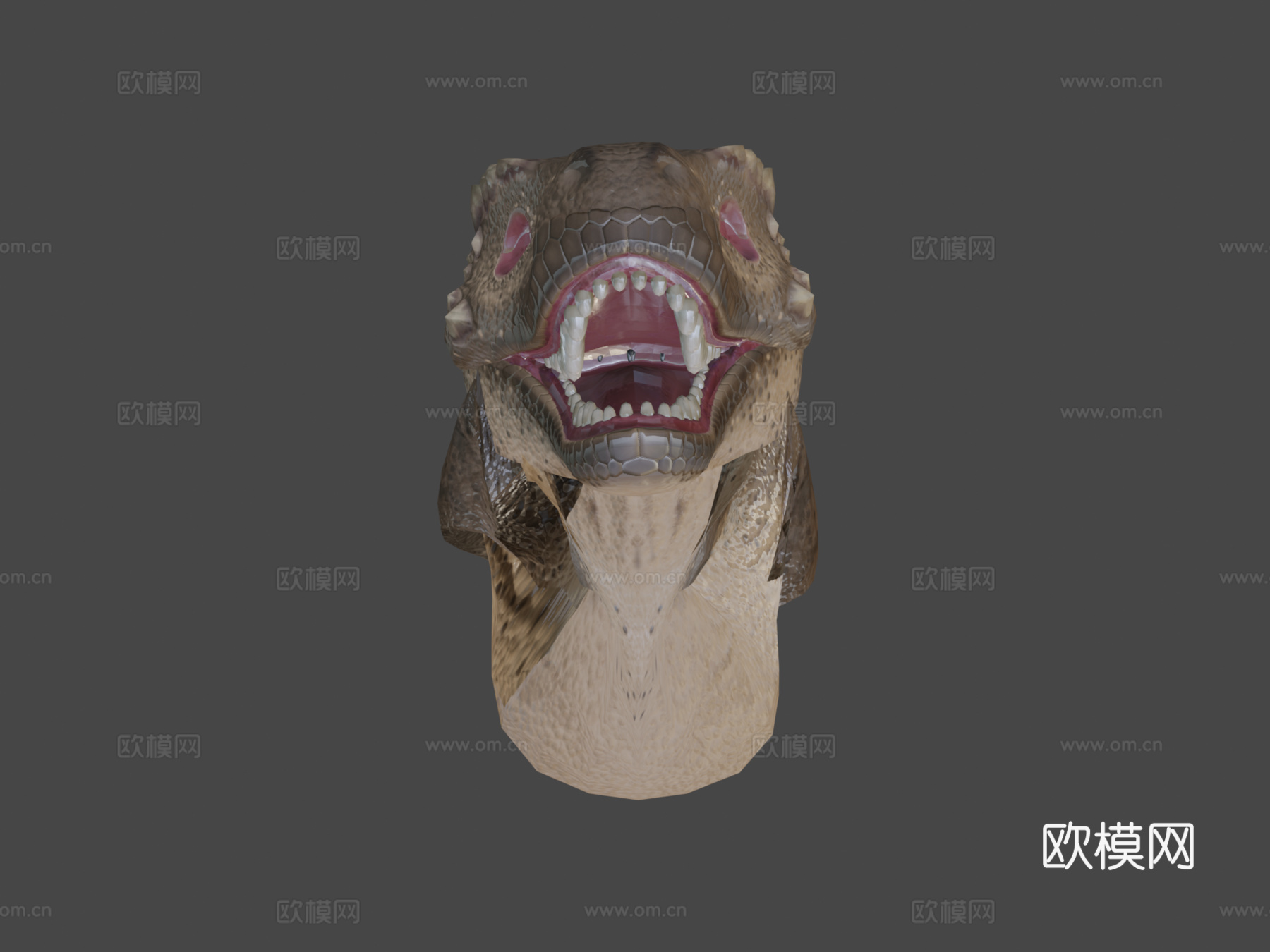 小霸王龙3d模型