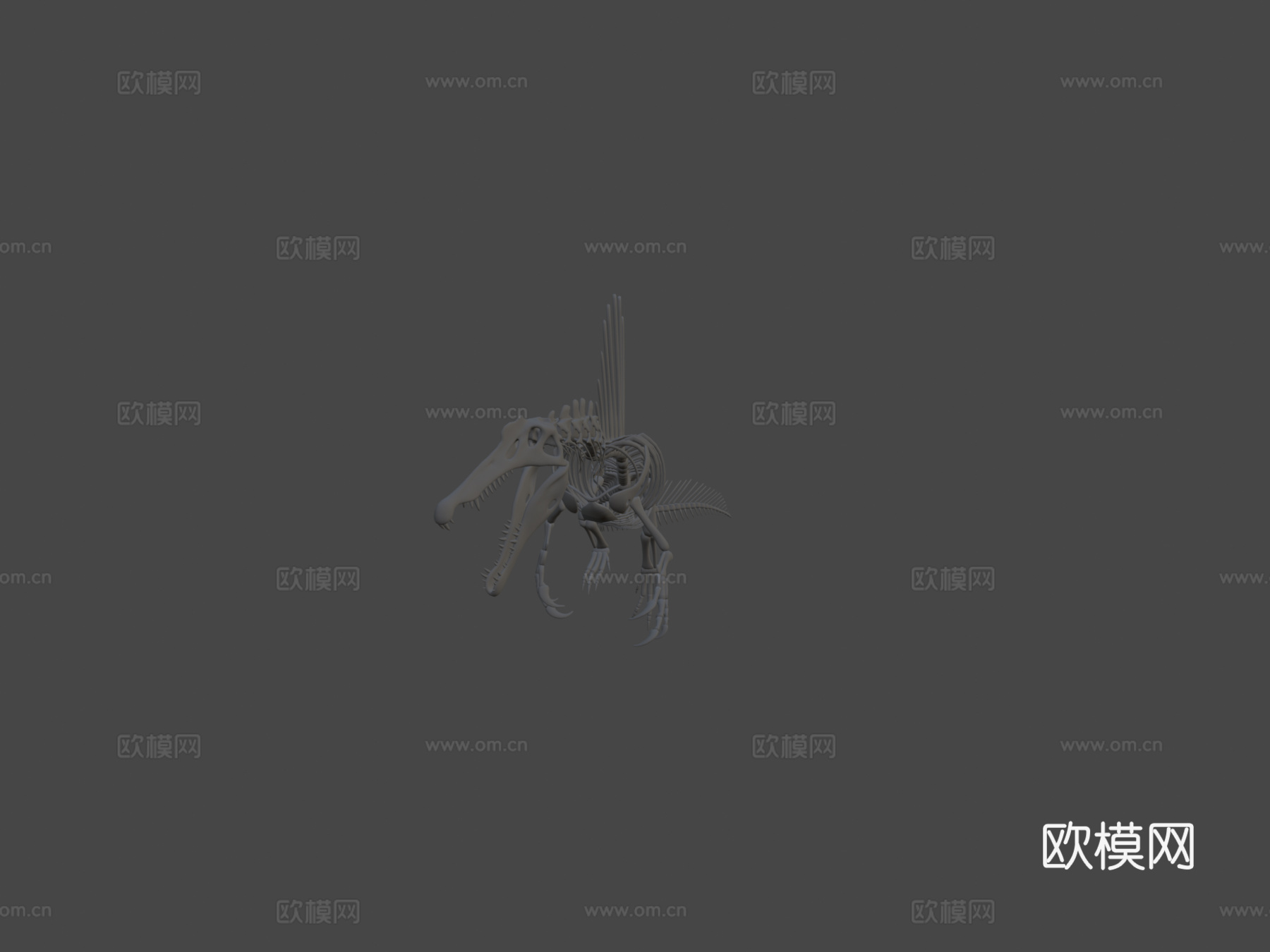 棘龙骨架3d模型