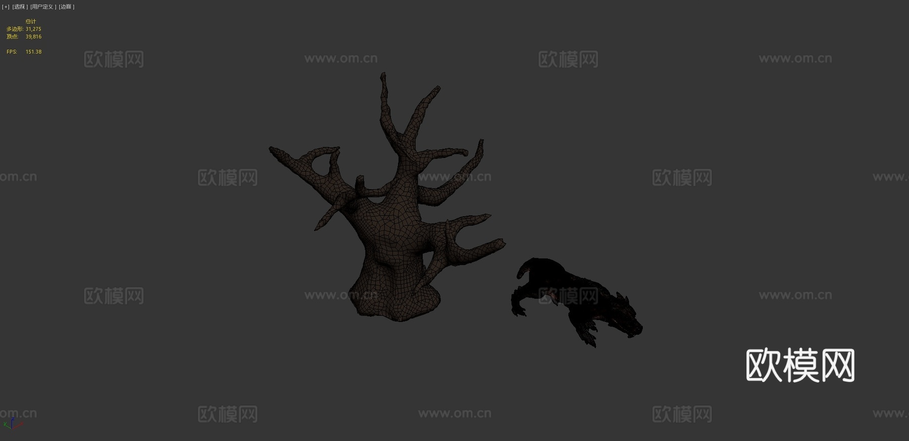 改良大型猫科动物-动画版3d模型