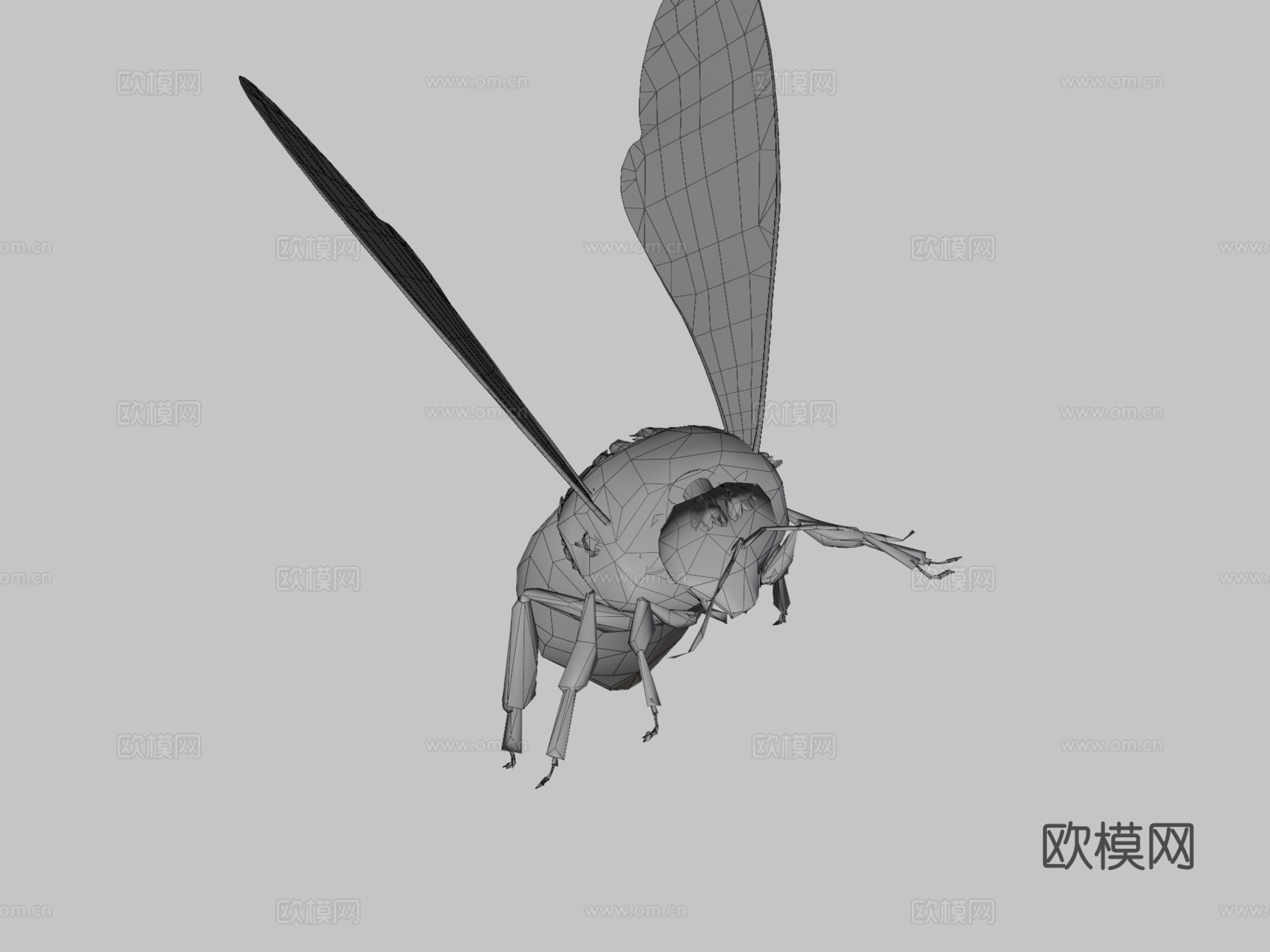达尔博姆熊蜂3d模型