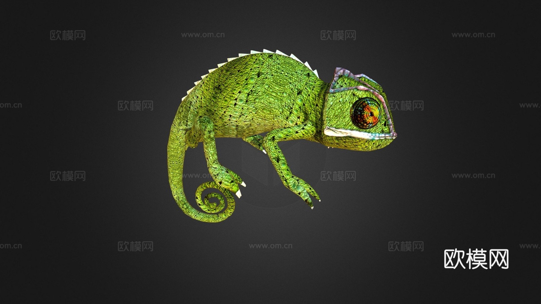 变色龙43d模型