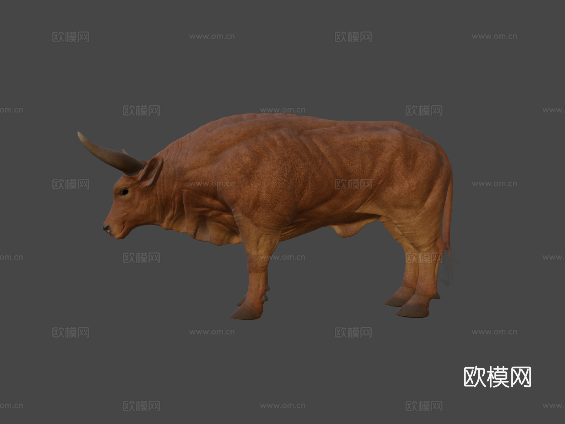 公牛动物3d模型